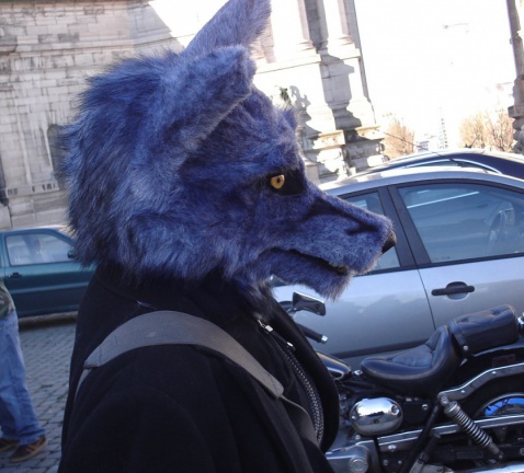 Tanuki BFM200802 016