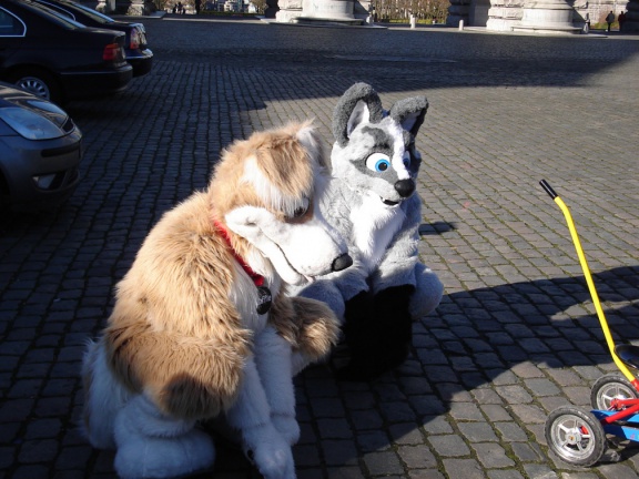 Tanuki BFM200802 017