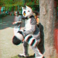 Aoi anaglyph BSB 0641