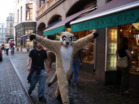 Fenax Paqualibi200704 085