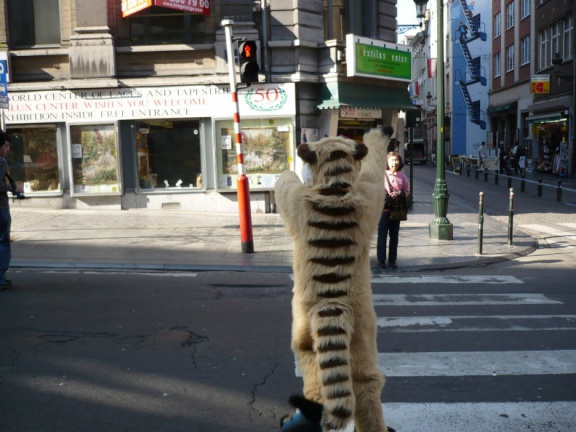 Fenax Paqualibi200704 086