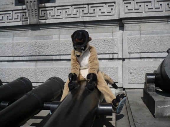 Fenax Paqualibi200704 119