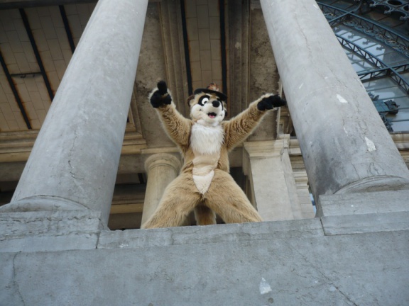 Fenax Paqualibi200704 105