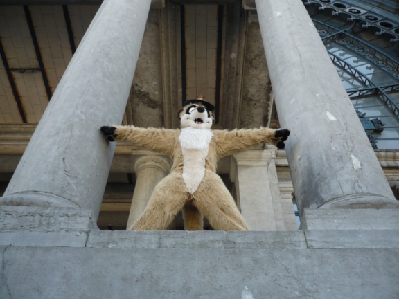 Fenax Paqualibi200704 106