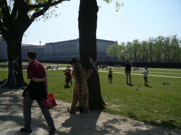 Fenax Paqualibi200704 114