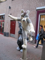Keenora 20080301 Delft 007
