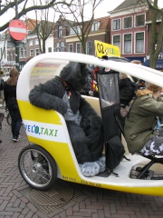 Keenora 20080301 Delft 084