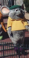 Mouse15