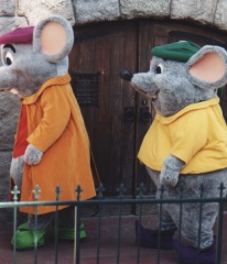 Mouse16