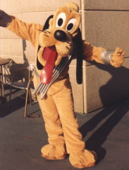 Pluto24