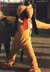 Pluto25