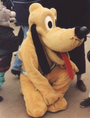 Pluto26
