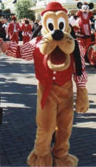 Pluto31