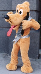Pluto32