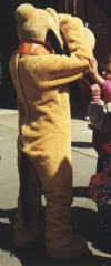 Pluto37