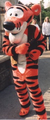 Tiger02 2b