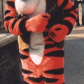 Tiger02 2b