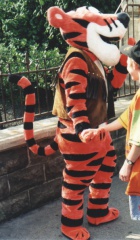 Tiger03
