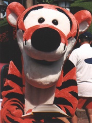 Tiger06
