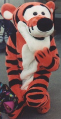 Tiger09