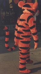 Tiger10