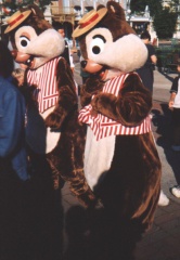 chipdale11