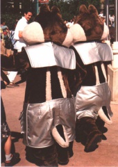 chipdale14