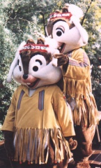 chipdale24