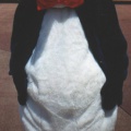 pinguin04