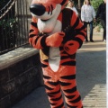 tiger01
