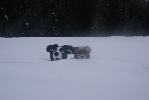 Emejn Fhursky2009 003