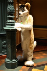 Nightwolf Halloween2011 0135