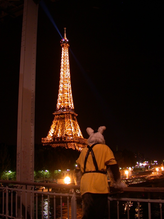 20040611 EiffelTower 42