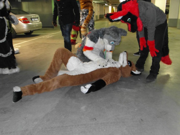Dresden Furmeet 23032013 Lee 21