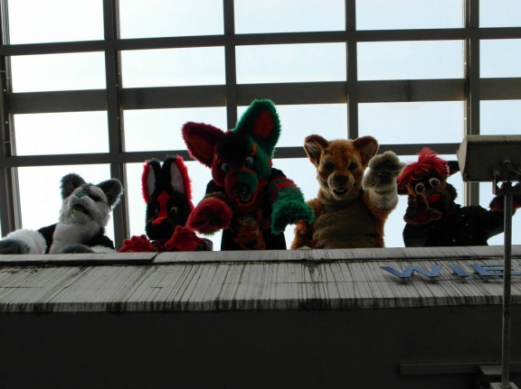 Dresden Furmeet 23032013 Lee 31
