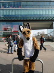 Dresden Furmeet 23032013 Lee 55