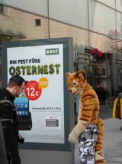 Dresden Furmeet 23032013 Lee 92