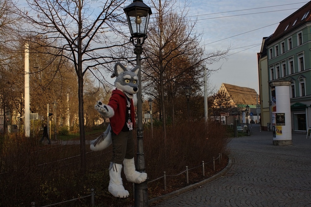 s posing wolf street lamp
