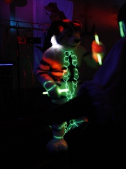 gDragy SFD7 MG 8966