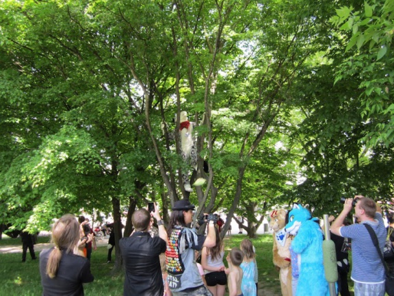 Fursuitwalk Asrail 69