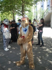 Fursuitwalk Fridolfus 25