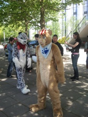 Fursuitwalk Fridolfus 26