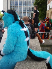 Fursuitwalk Fridolfus 5