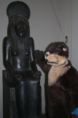 ExiledWolf20070505-277