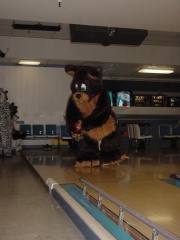 20030216 Bowling 34