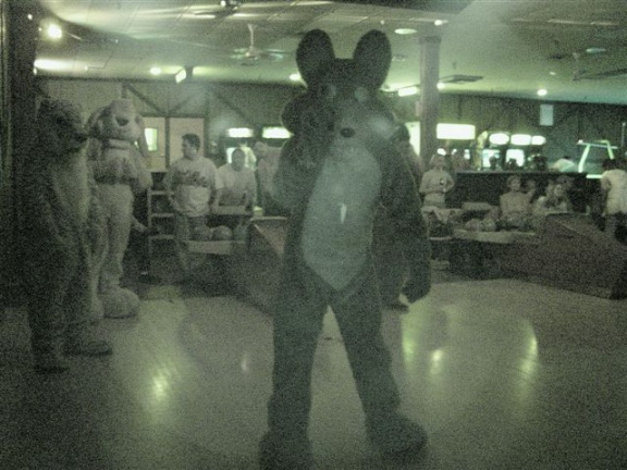 20020328 FursuitBowling 01