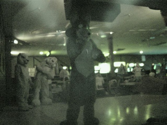 20020328 FursuitBowling 04