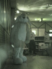 20020328 FursuitBowling 23
