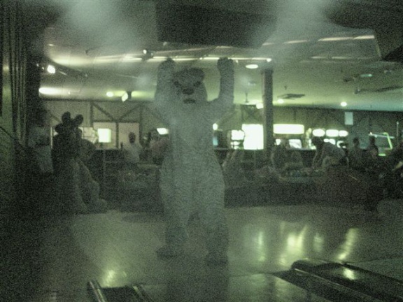 20020328 FursuitBowling 29