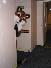 Inside the boat 7